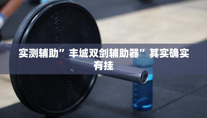 实测辅助”丰城双剑辅助器”其实确实有挂