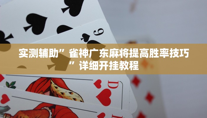 实测辅助”雀神广东麻将提高胜率技巧”详细开挂教程