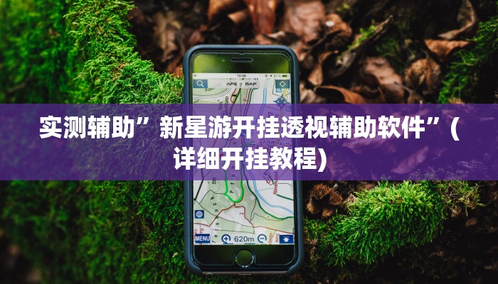 实测辅助”新星游开挂透视辅助软件”(详细开挂教程)