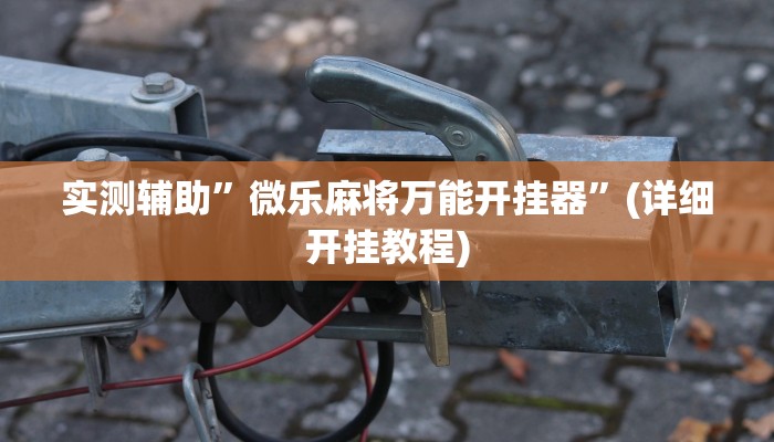实测辅助”微乐麻将万能开挂器”(详细开挂教程)