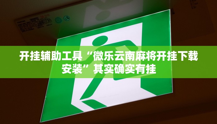 实测辅助”wepoker德州到底有挂吗”(详细开挂教程)