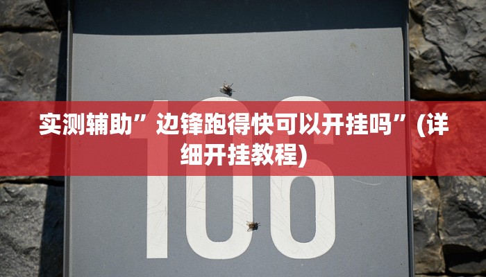 实测辅助”德扑之星辅助挂开挂方法”(详细开挂教程)