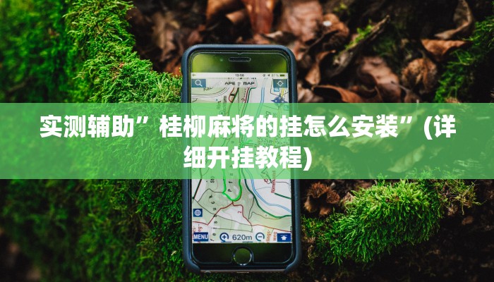 实测辅助”微乐捉老麻子有挂吗”(详细开挂教程)