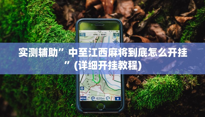 实测辅助”非物质娱乐可以开挂吗”其实确实有挂