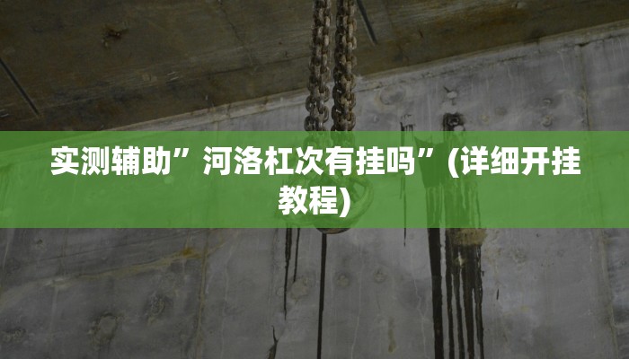 实测辅助”河洛杠次有挂吗”(详细开挂教程)