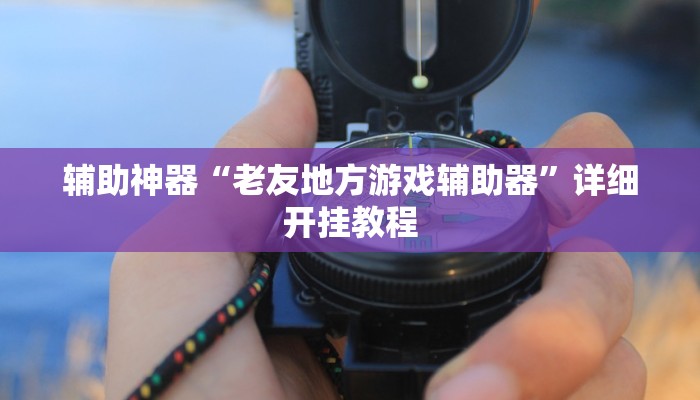 辅助神器“老友地方游戏辅助器”详细开挂教程