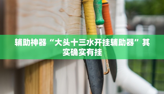 辅助神器“胡一把呼包鄂麻将开挂免费”其实确实有挂
