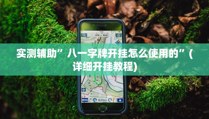 实测辅助”手机棋牌开挂怎么买”其实确实有挂