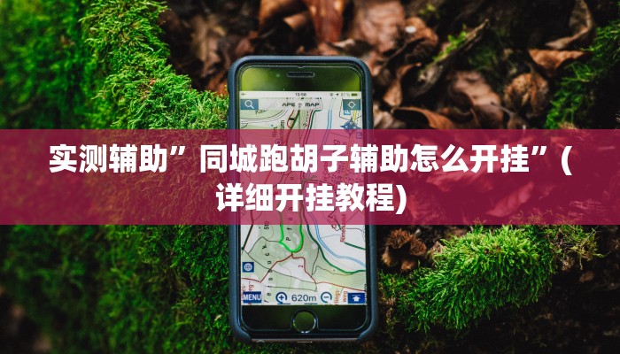 实测辅助”同城跑胡子辅助怎么开挂”(详细开挂教程)