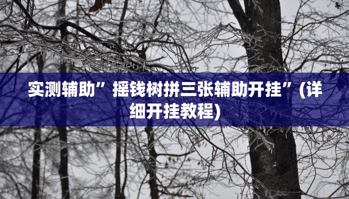 实测辅助”摇钱树拼三张辅助开挂”(详细开挂教程)