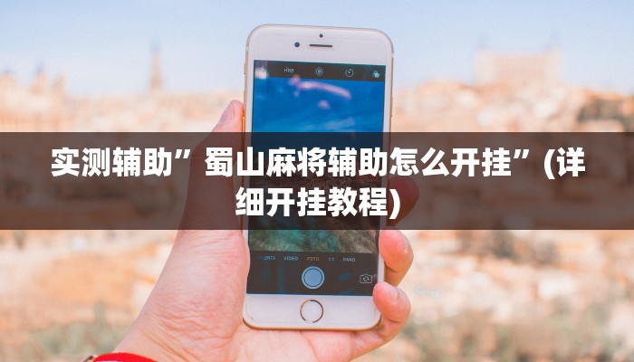 实测辅助”打麻将必赢的神器”(详细开挂教程)
