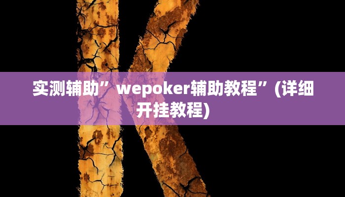 实测辅助”wepoker辅助教程”(详细开挂教程)