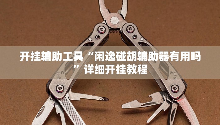开挂辅助工具“闲逸碰胡辅助器有用吗”详细开挂教程