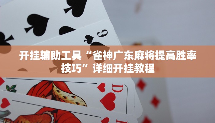 开挂辅助工具“雀神广东麻将提高胜率技巧”详细开挂教程