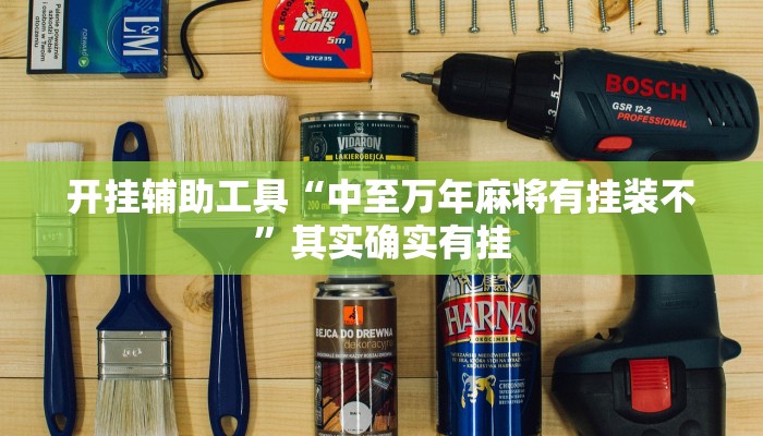 开挂辅助工具“中至万年麻将有挂装不”其实确实有挂