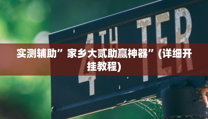 实测辅助”家乡大贰助赢神器”(详细开挂教程)