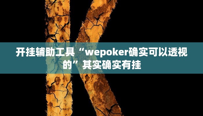 开挂辅助工具“wepoker确实可以透视的”其实确实有挂