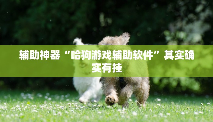 辅助神器“哈狗游戏辅助软件”其实确实有挂