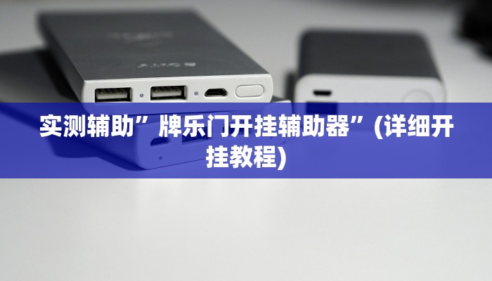 实测辅助”牌乐门开挂辅助器”(详细开挂教程)