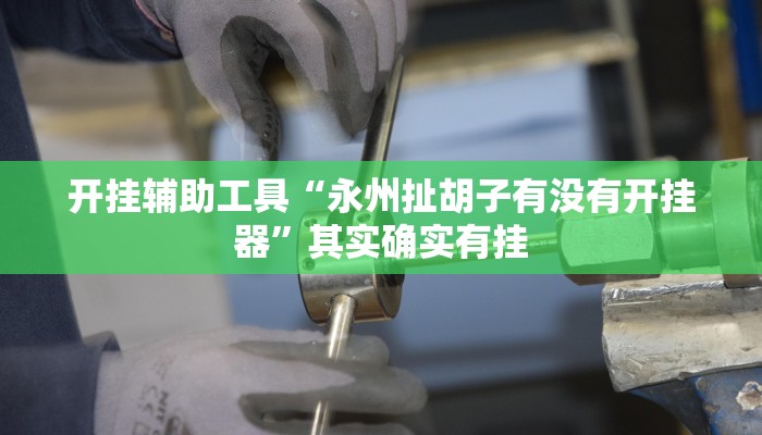 开挂辅助工具“永州扯胡子有没有开挂器”其实确实有挂
