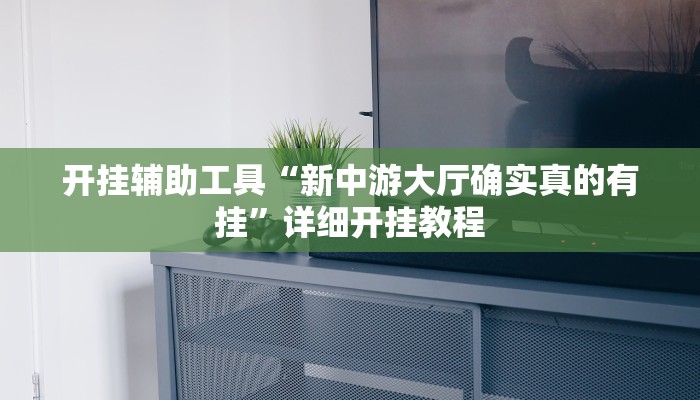 实测辅助”(WePoKer)r究竟有没有透视挂”(详细开挂教程)