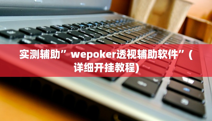 实测辅助”wepoker透视辅助软件”(详细开挂教程)