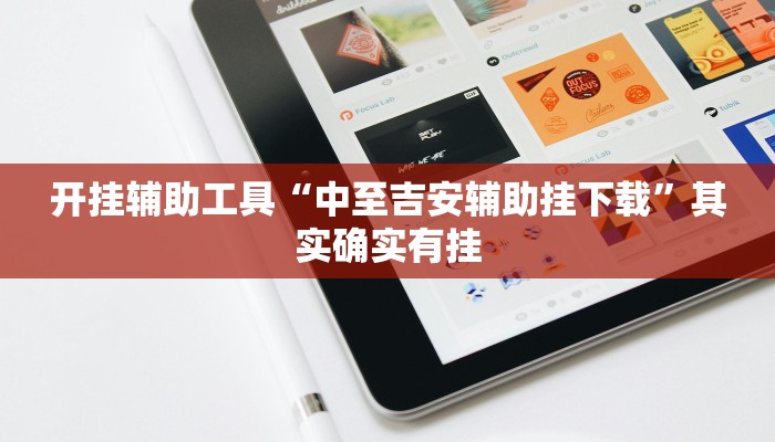 开挂辅助工具“中至吉安辅助挂下载”其实确实有挂