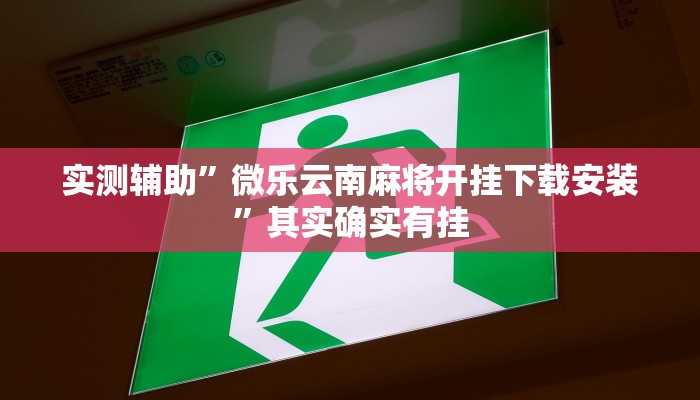 实测辅助”微乐云南麻将开挂下载安装”其实确实有挂