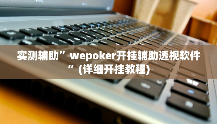 实测辅助”wepoker开挂辅助透视软件”(详细开挂教程)