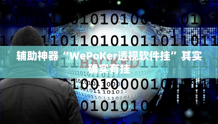 辅助神器“WePoKer透视软件挂”其实确实有挂