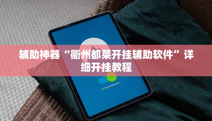 辅助神器“衢州都莱开挂辅助软件”详细开挂教程