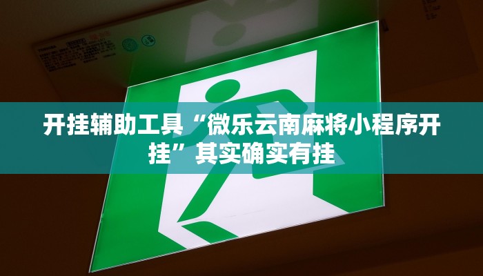 实测辅助”胡乐麻将有挂吗有挂没有”(详细开挂教程)