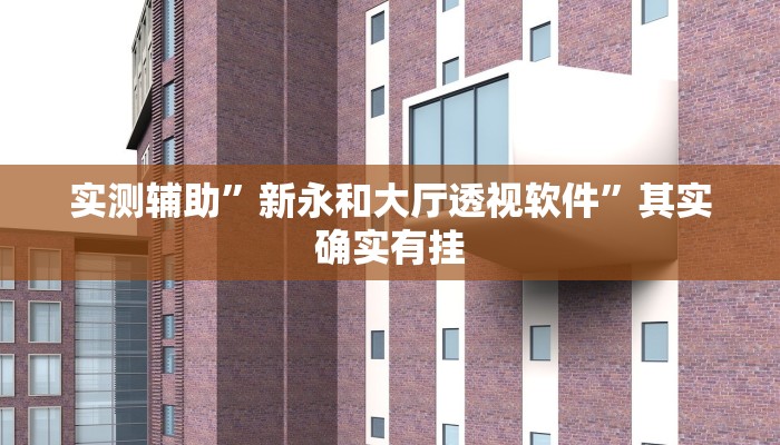 实测辅助”新永和大厅透视软件”其实确实有挂