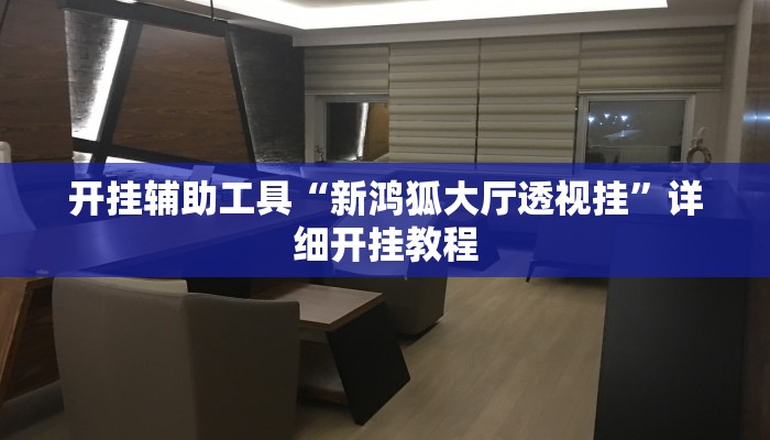 开挂辅助工具“新鸿狐大厅透视挂”详细开挂教程