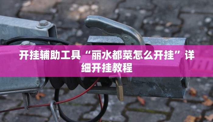 开挂辅助工具“丽水都菜怎么开挂”详细开挂教程