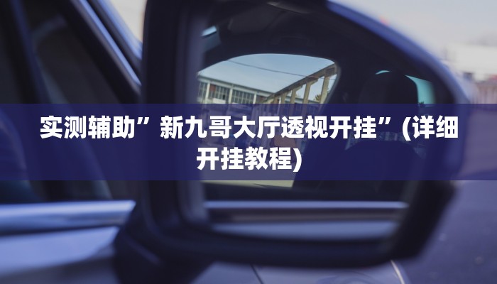 实测辅助”新九哥大厅透视开挂”(详细开挂教程)