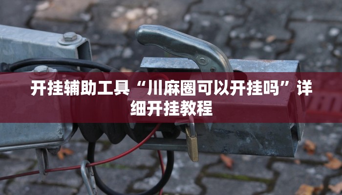 开挂辅助工具“川麻圈可以开挂吗”详细开挂教程