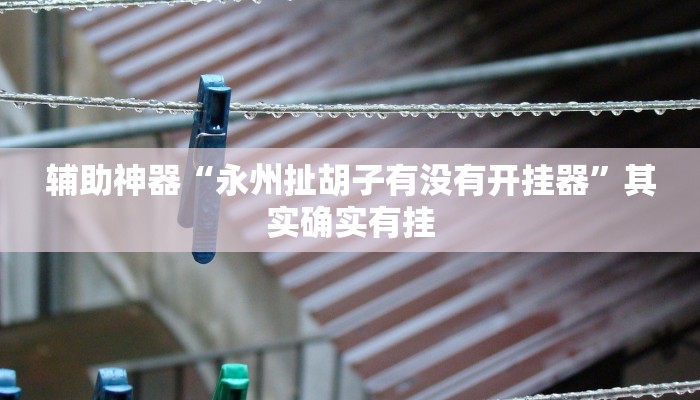 辅助神器“永州扯胡子有没有开挂器”其实确实有挂