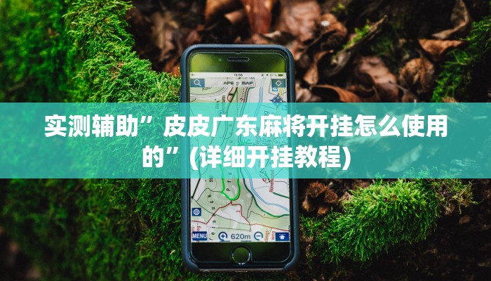 实测辅助”皮皮广东麻将开挂怎么使用的”(详细开挂教程)