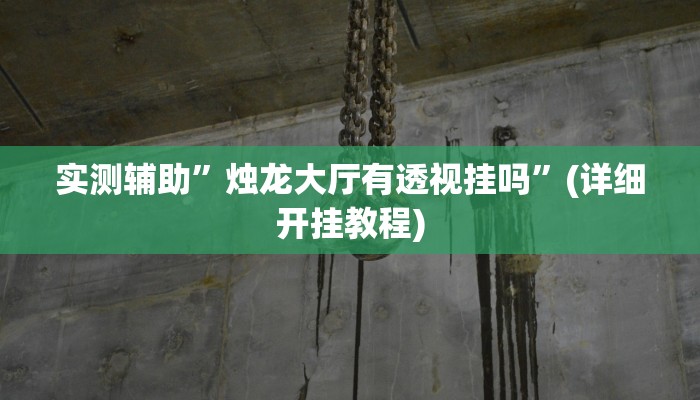 实测辅助”微乐麻将有挂么神器”(详细开挂教程)