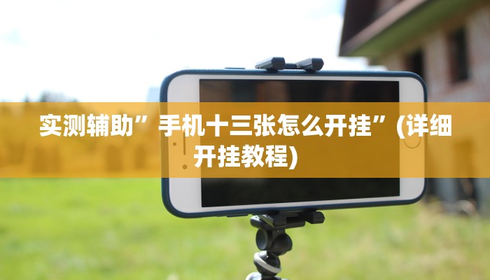 实测辅助”上楚湖北麻将有挂吗”(详细开挂教程)