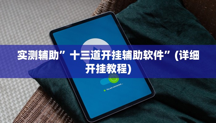 实测辅助”十三道开挂辅助软件”(详细开挂教程)