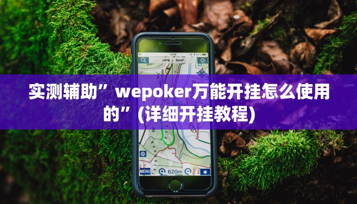 实测辅助”wepoker万能开挂怎么使用的”(详细开挂教程)
