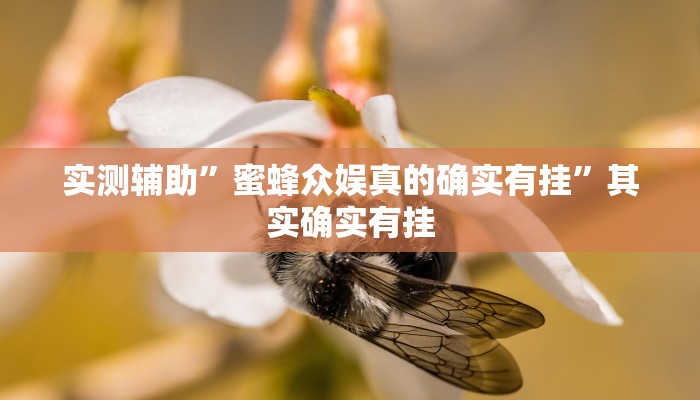 实测辅助”wepoker可以透视吗”(详细开挂教程)