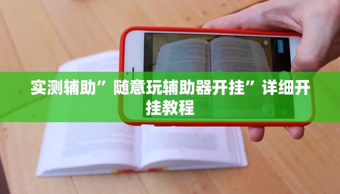 实测辅助”随意玩辅助器开挂”详细开挂教程