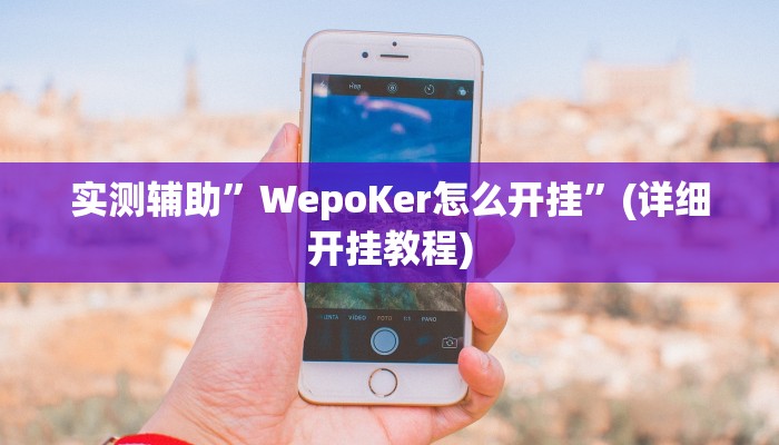 实测辅助”WepoKer怎么开挂”(详细开挂教程)