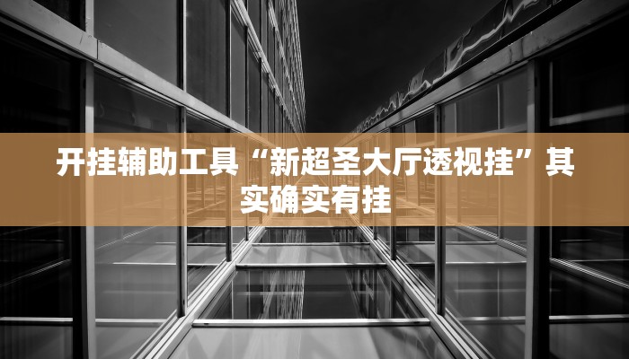 开挂辅助工具“新超圣大厅透视挂”其实确实有挂