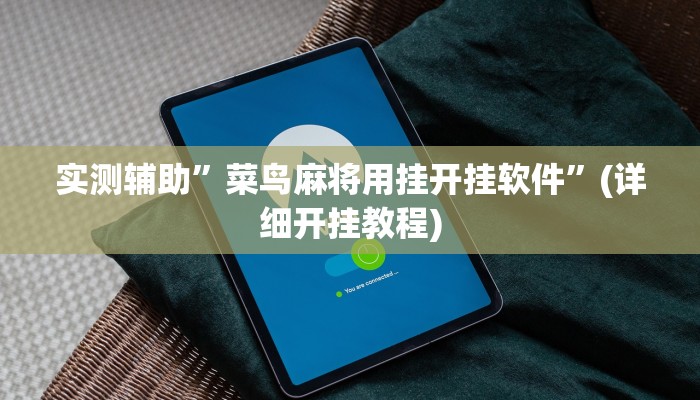 实测辅助”超级三加一开挂技巧”(详细开挂教程)