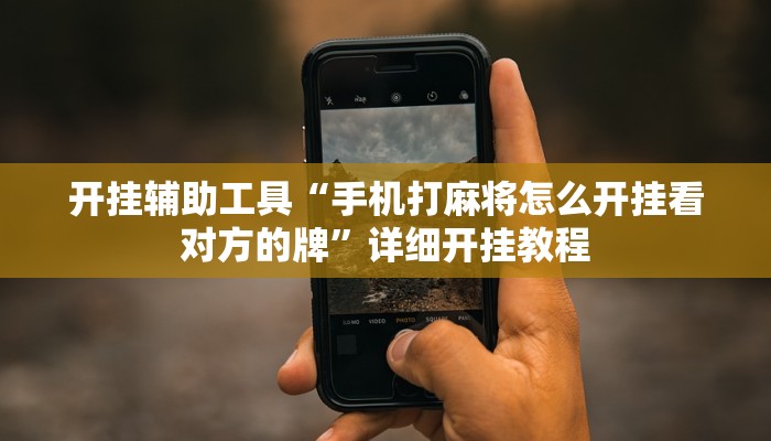 开挂辅助工具“旺旺福建麻将开挂神器”详细开挂教程