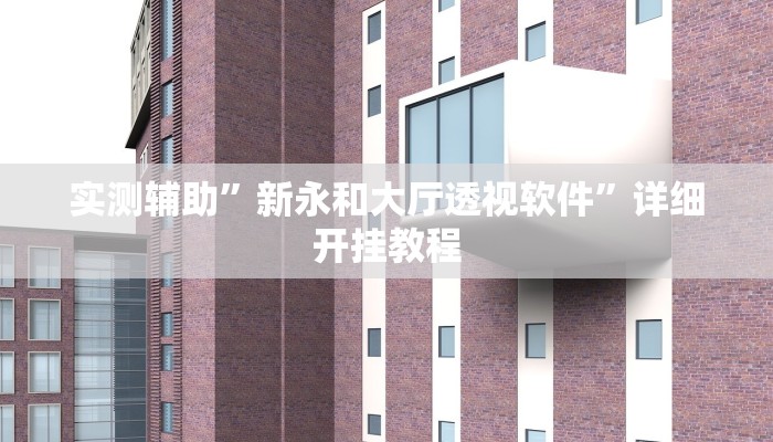 实测辅助”新永和大厅透视软件”详细开挂教程